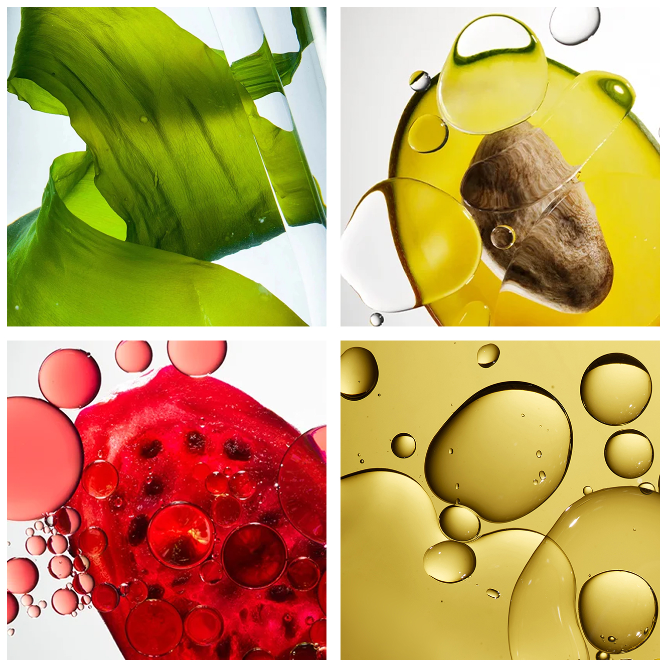 Ingredients_Grid